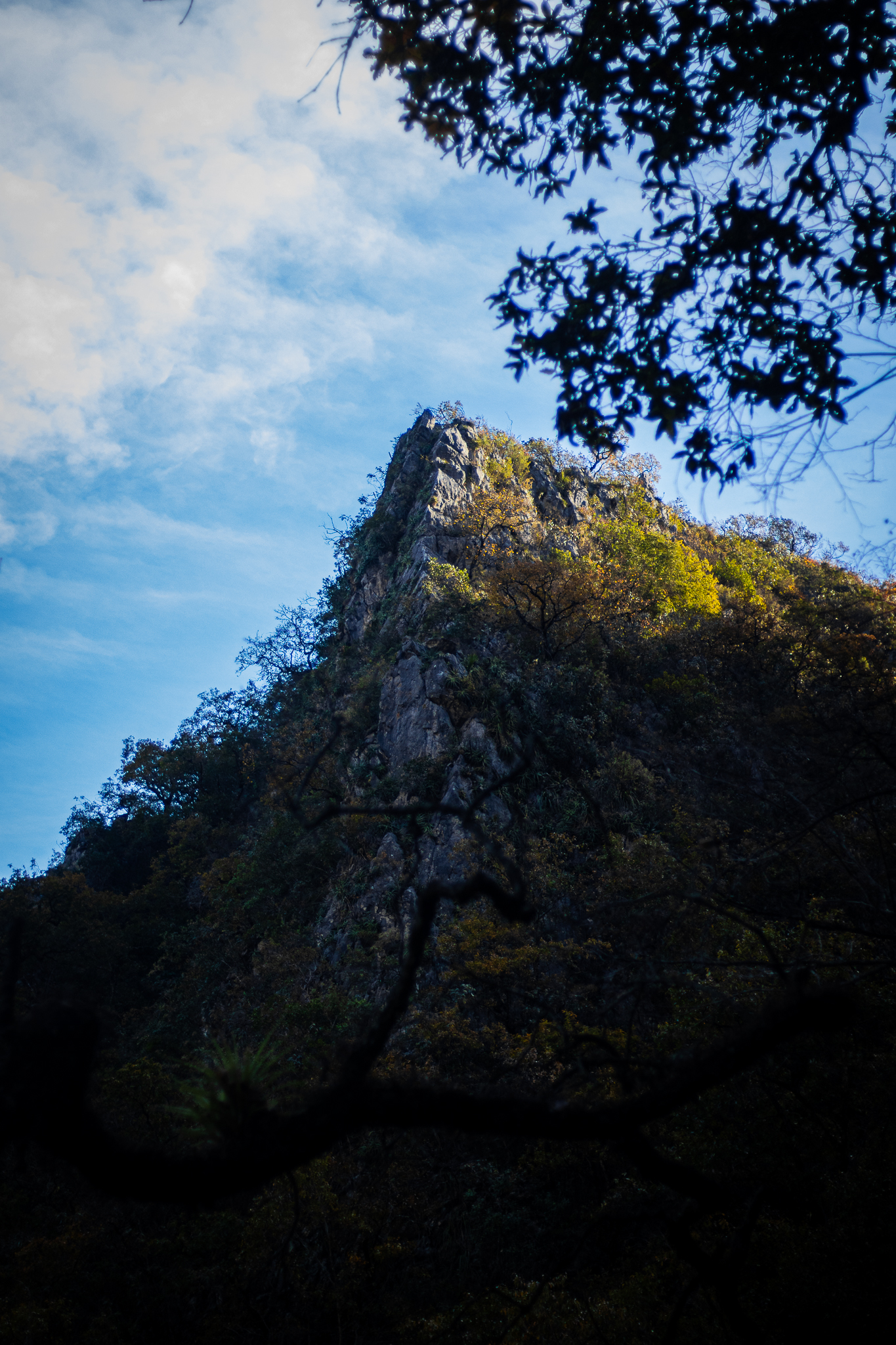Montaña cubierta de bosque en la sierra